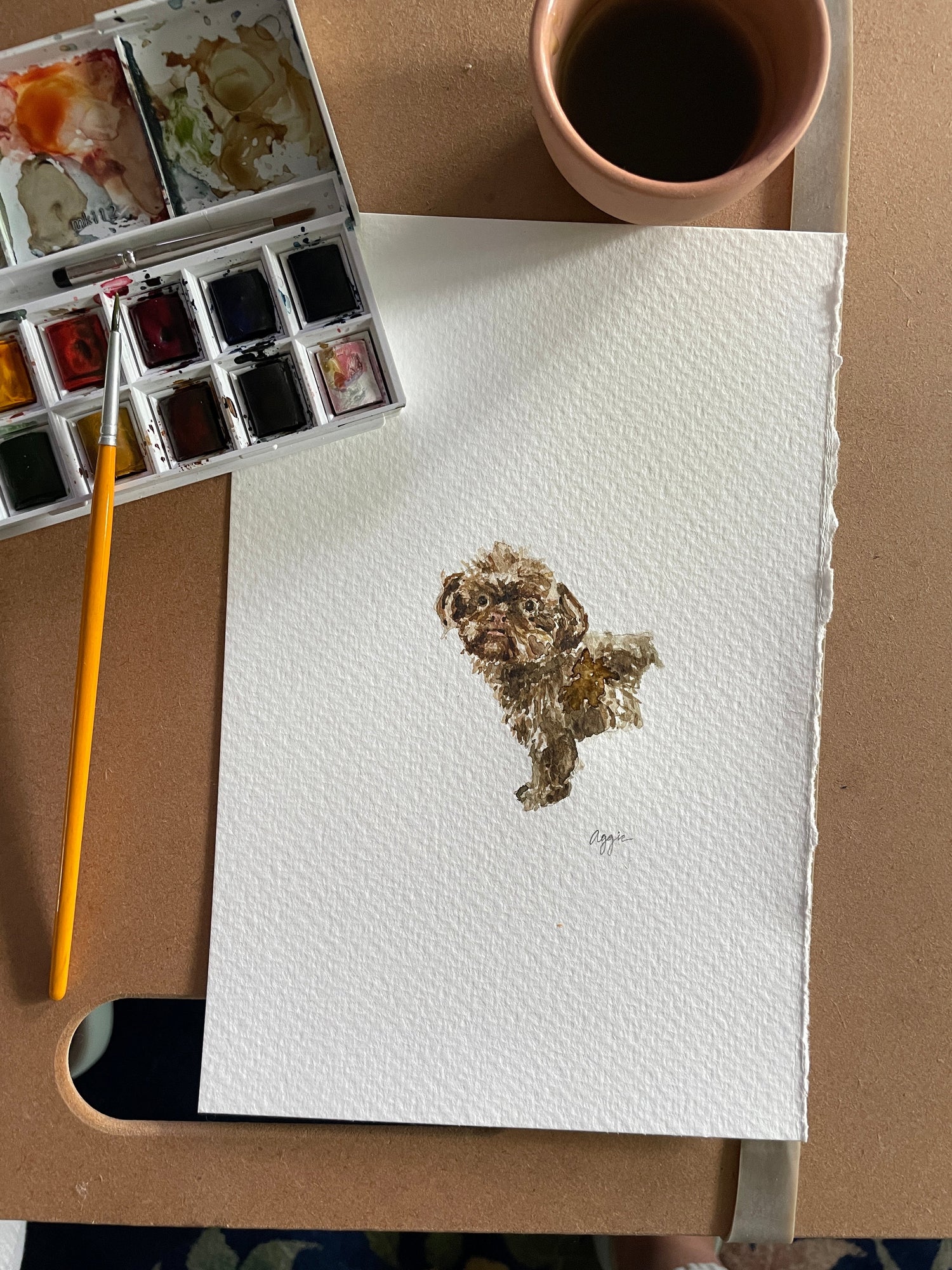 Pet Portraits